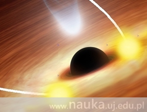 How fast does a black hole spin?