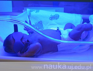 Why are premature babies more susceptible to infection?