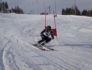 JU Alpine Skiing Championship 2020
