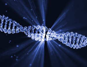 JU scientists develop high sensitivity DNA recognition method