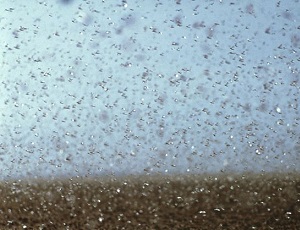 Locust swarms in Africa. Part I: Causes