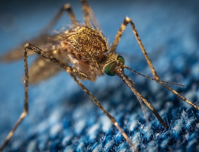 Targeting a "hidden" enzyme in malaria with a natural product drug