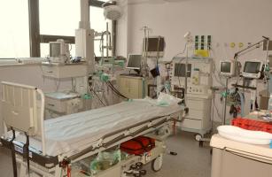 Zdjęcie nr 3 (10)
	                                	                                                                 fot. University Chilldren's Hospital, Jerzy Sawicz
                                