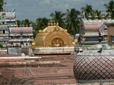Photo no. 2 (8)
                                                         Ranganatha Temple, Srirangam
                            