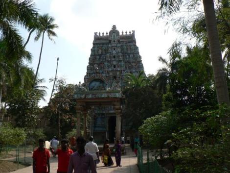Zdjęcie nr 7 (8)
                                	                             Jambukeswarar Temple, Srirangam
                            