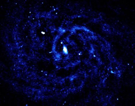 Photo no. 3 (10)
                                                         The nearby spiral galaxy IC 342 seen with LOFAR. Radio emission comes from the spiral arms, where supernova explosions accelerate electrons to high energies. Credit: Maya Horton and the LOFAR surveys team.
                            