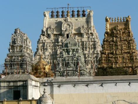Photo no. 1 (8)
                                                         Kanchi Kamakshi Temple, Kanchipuram
                            